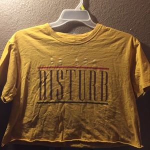Do not disturb goldish crop top
